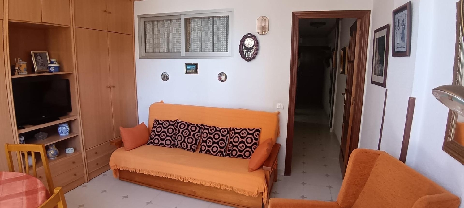  en venta estudio Benidorm (Centro) Marina Baixa 8