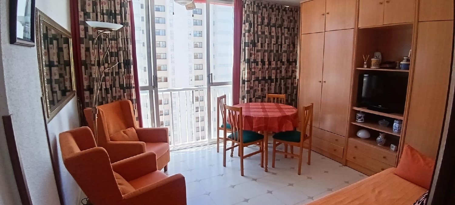  en venta estudio Benidorm (Centro) Marina Baixa 5