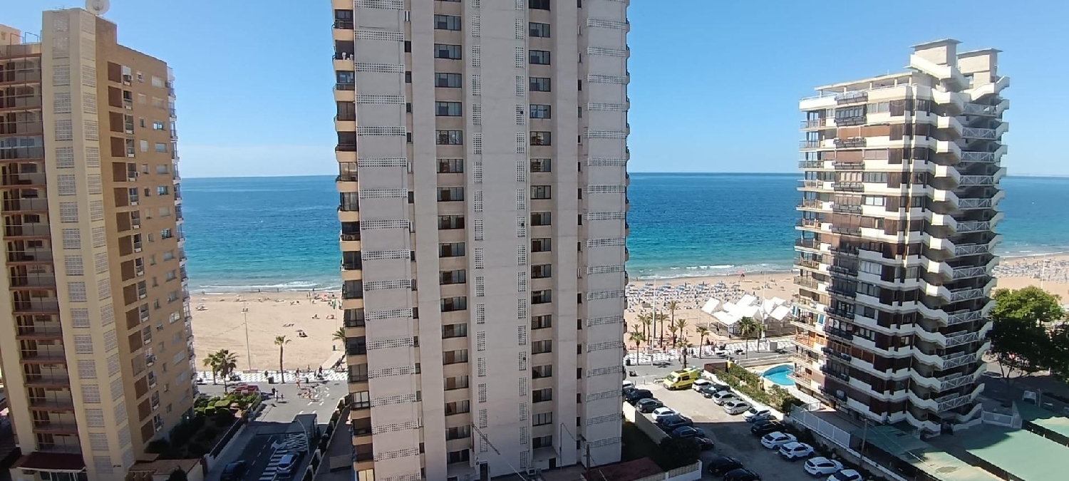  en venta estudio Benidorm (Centro) Marina Baixa 1