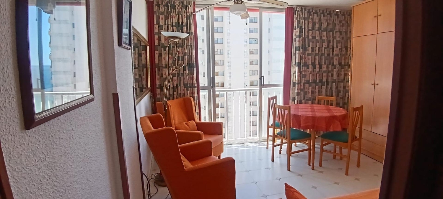  en venta estudio Benidorm (Centro) Marina Baixa 4