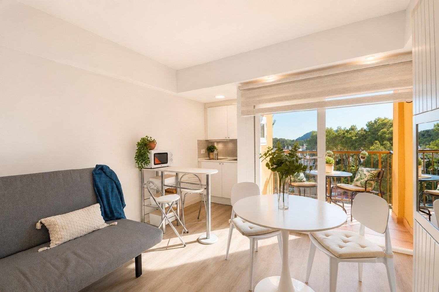 à vendre studio Calvià Ponent 5