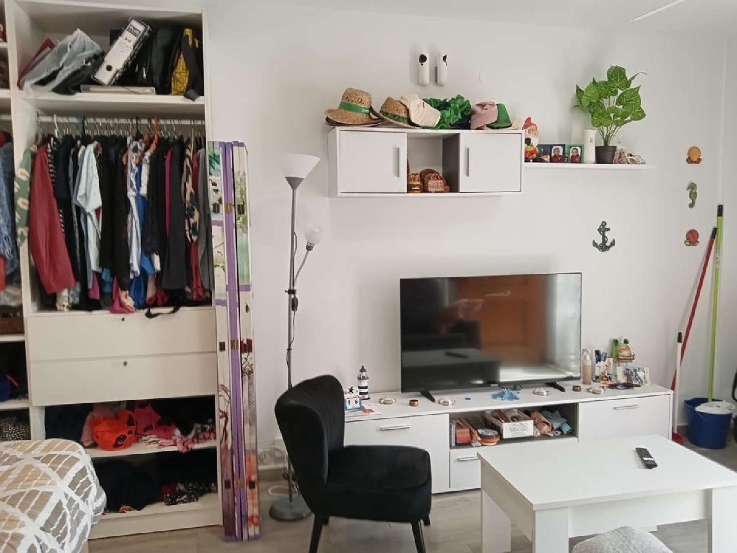  kaufen Einzimmerwohnung Torrevieja Baix Segura 7