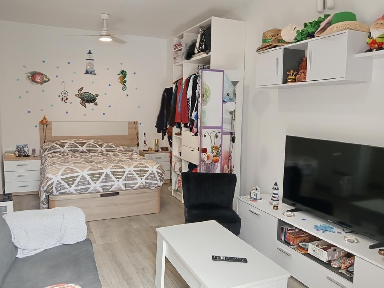  kaufen Einzimmerwohnung Torrevieja Baix Segura 4