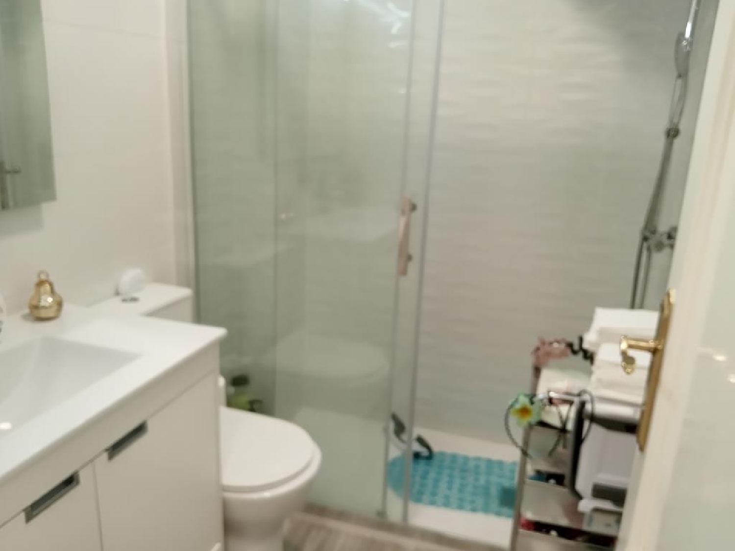  kaufen Einzimmerwohnung Torrevieja Baix Segura 13
