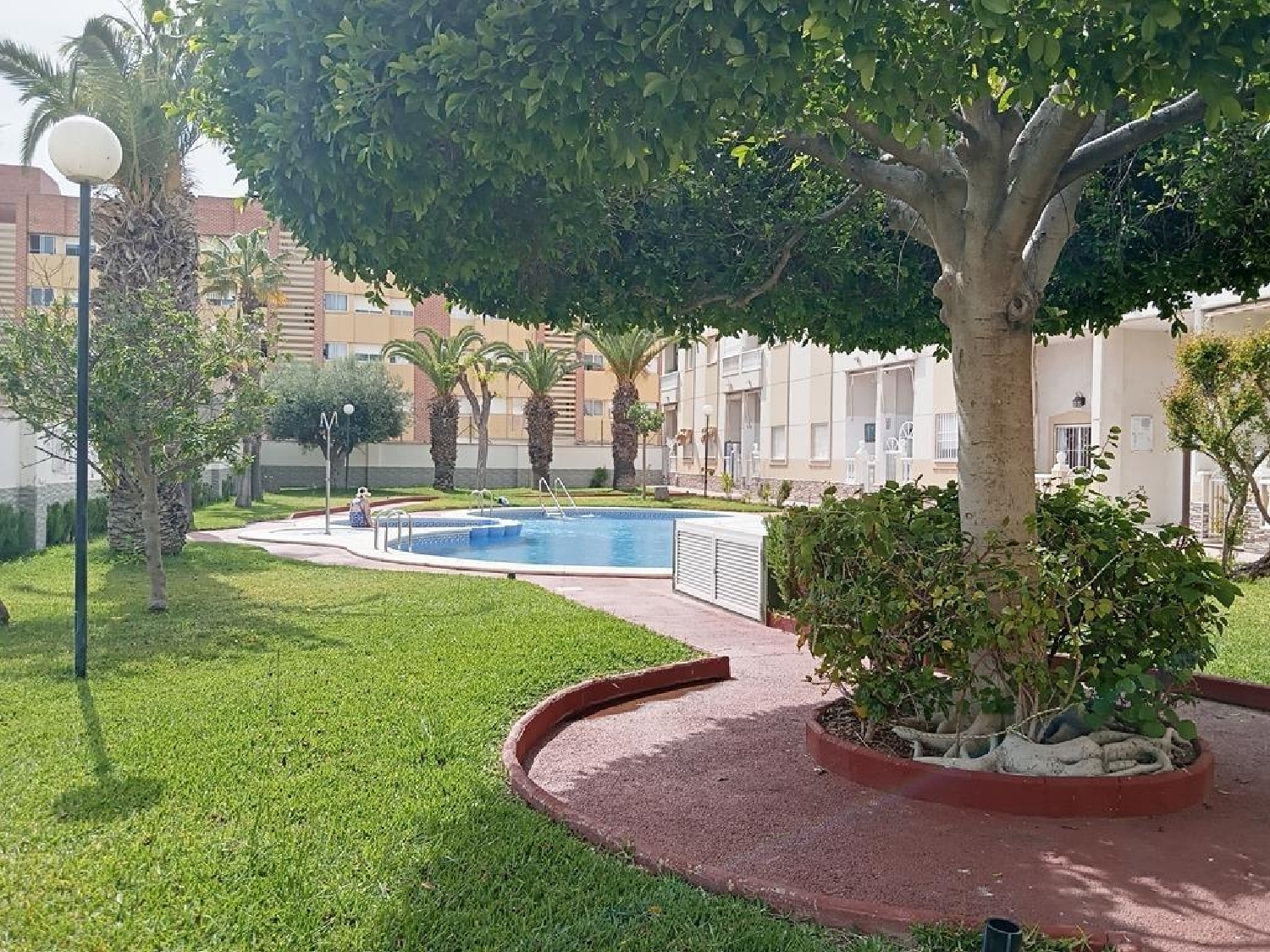  kaufen Einzimmerwohnung Torrevieja Baix Segura 16