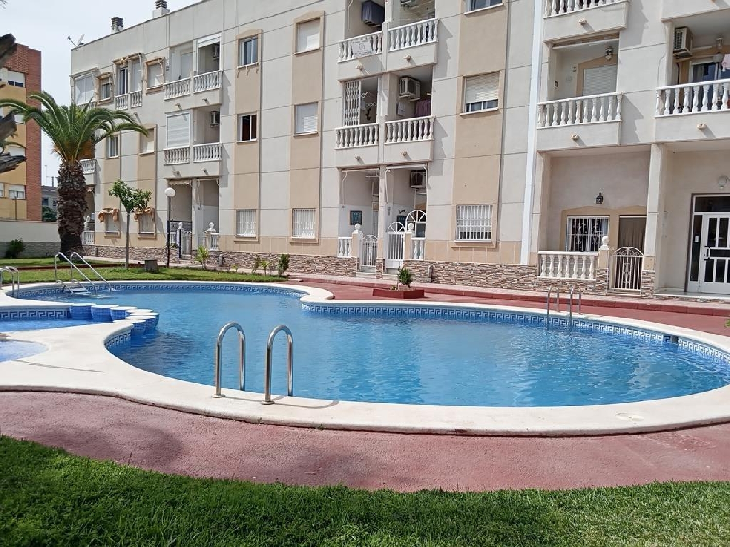  kaufen Einzimmerwohnung Torrevieja Baix Segura 15