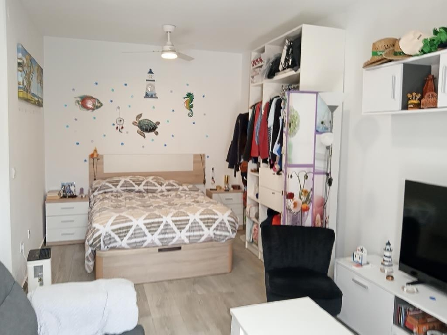  kaufen Einzimmerwohnung Torrevieja Baix Segura 3