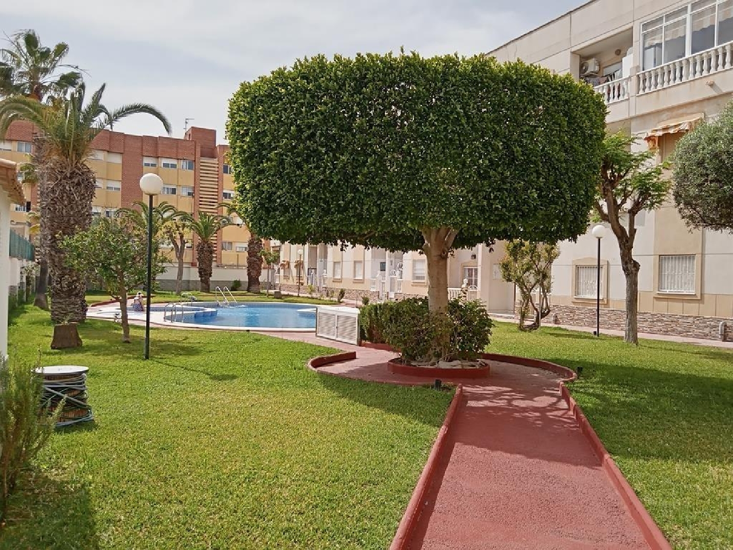  kaufen Einzimmerwohnung Torrevieja Baix Segura 1