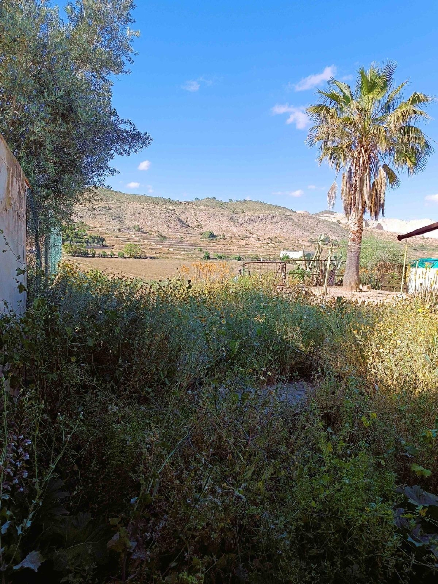  for sale terraced house Hondón De Las Nieves Vinalopó Mitjà 4