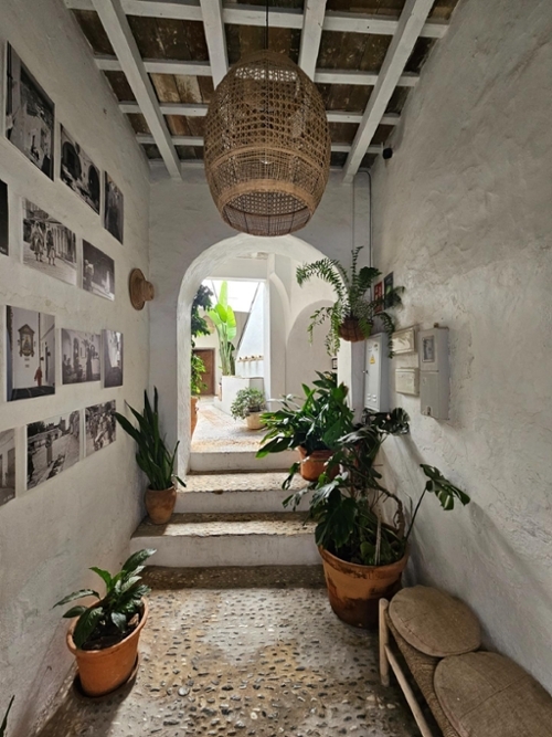 Vejer De La Frontera Janda (La) Reihenhaus Bild 6381504