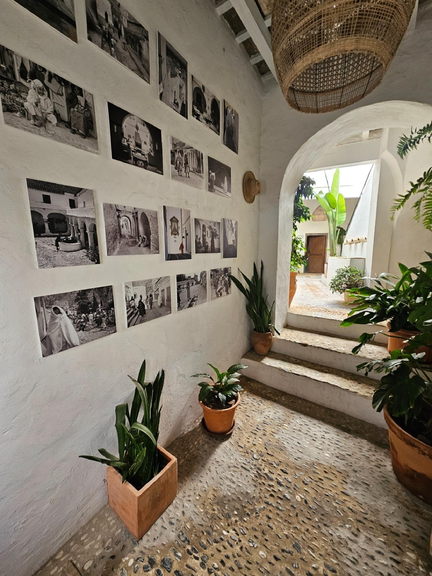  kaufen Reihenhaus Vejer De La Frontera Janda (La) 3