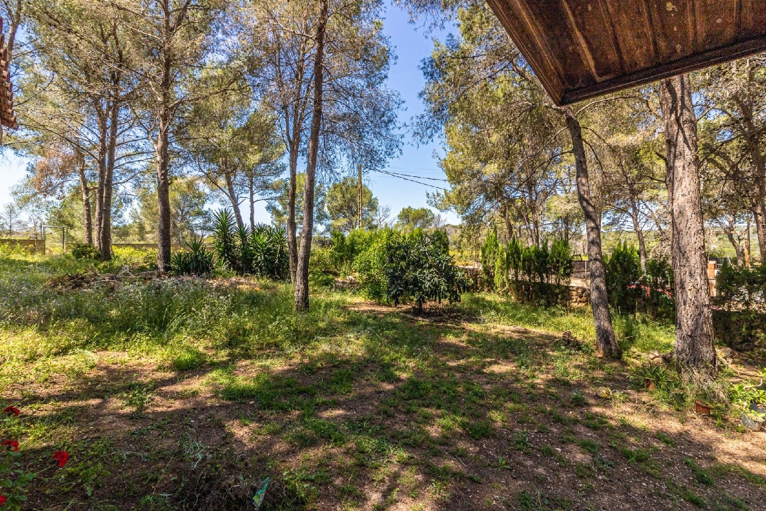  for sale villa Alberic Ribera Alta 6