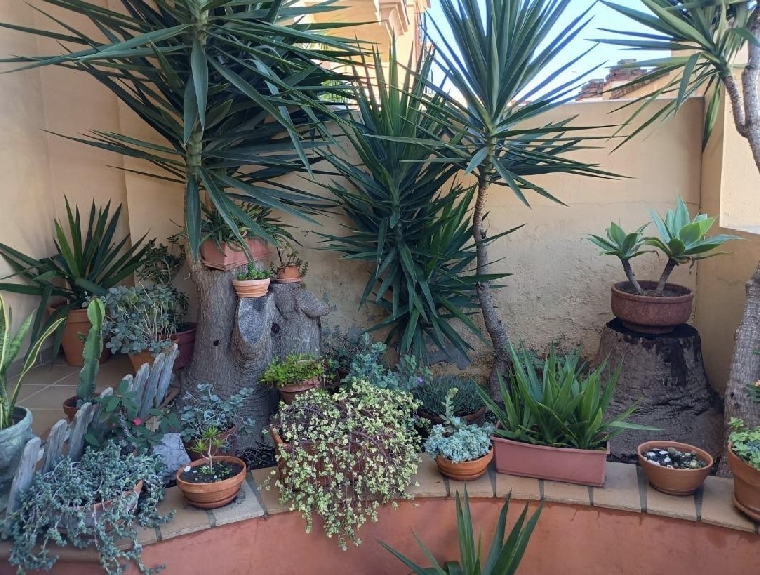 kaufen Villa Algeciras Casco Antiguo Campo De Gibraltar 5