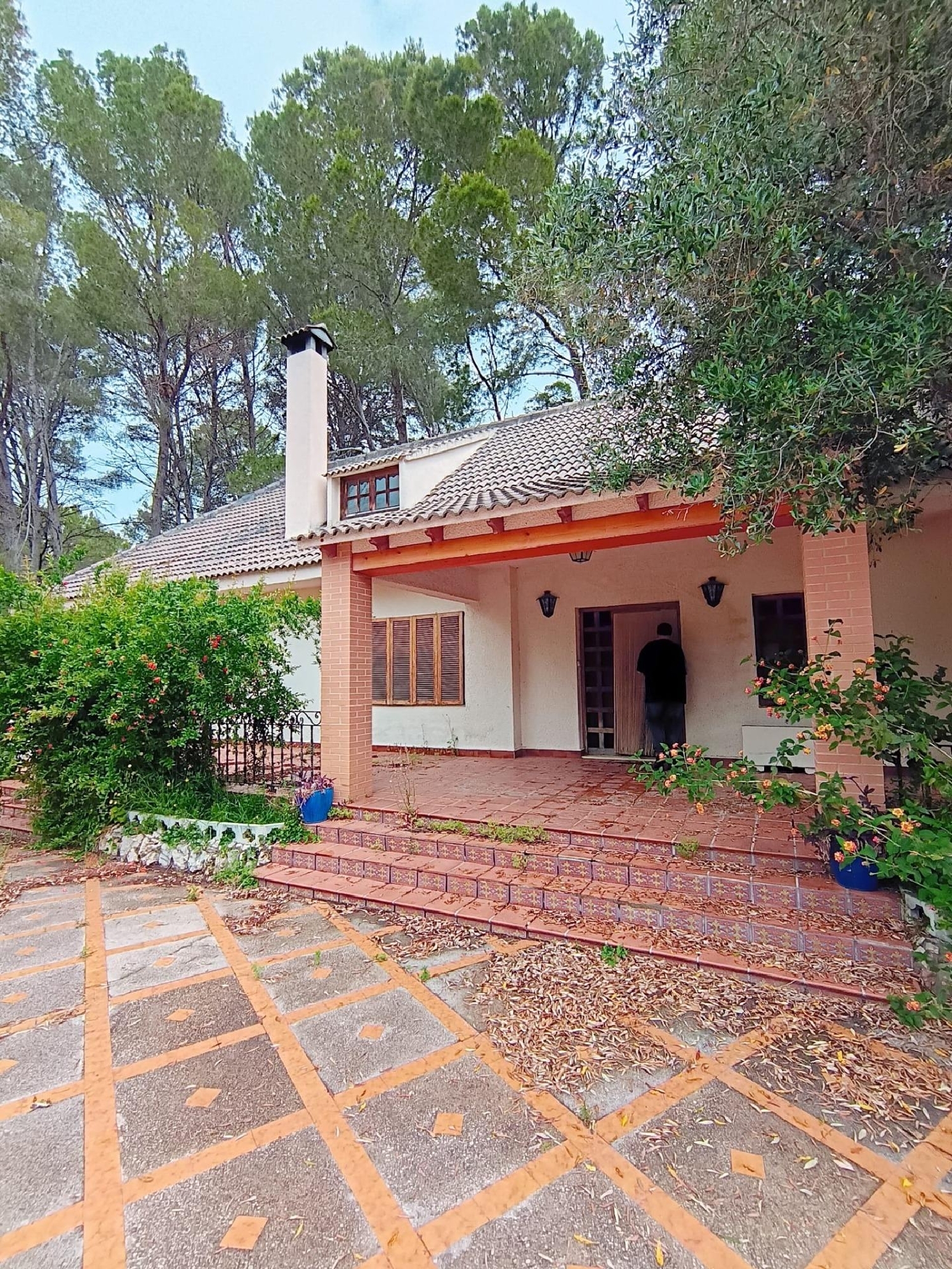  kaufen Villa Alzira Ribera Alta 3