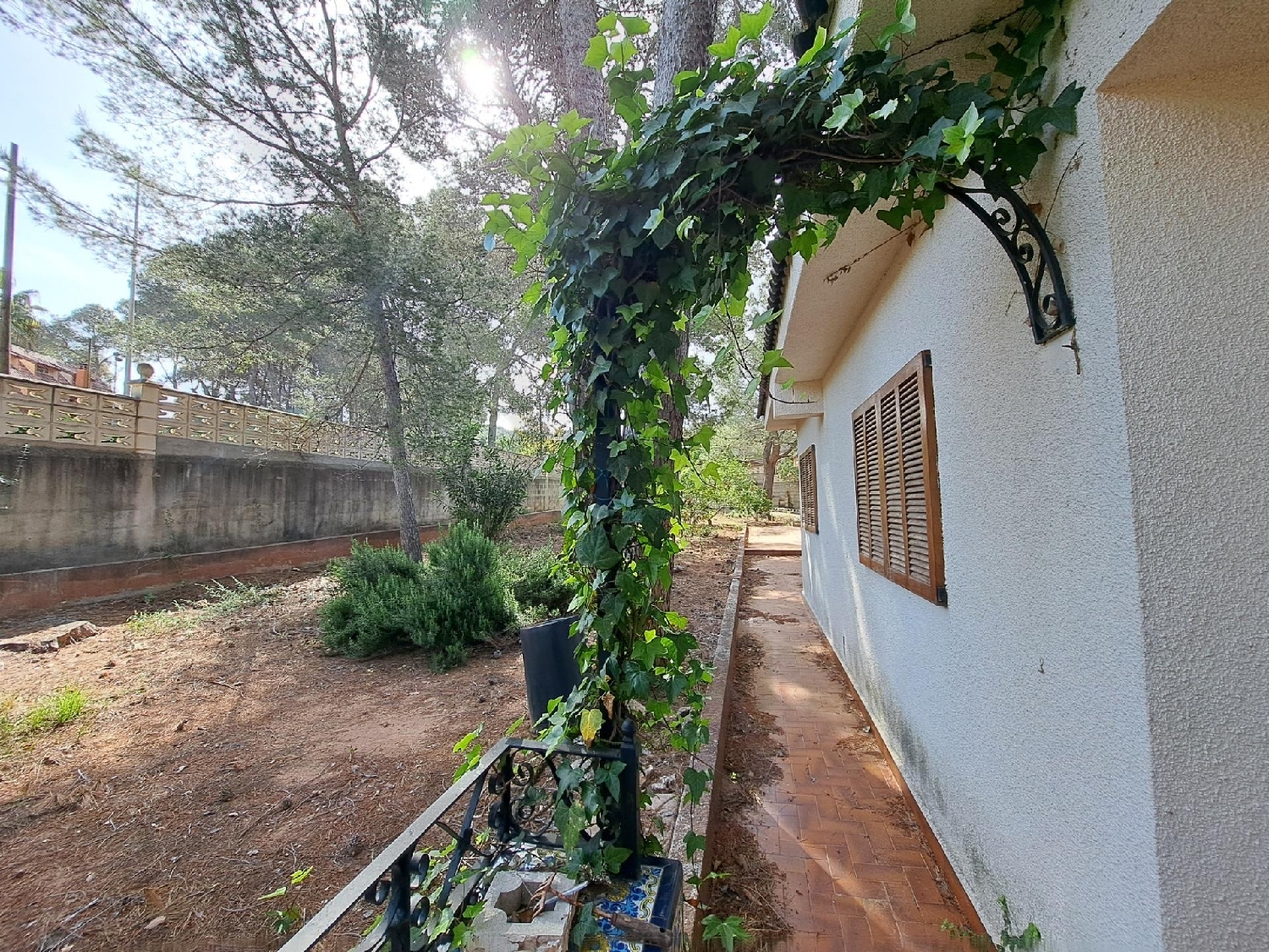  kaufen Villa Alzira Ribera Alta 5