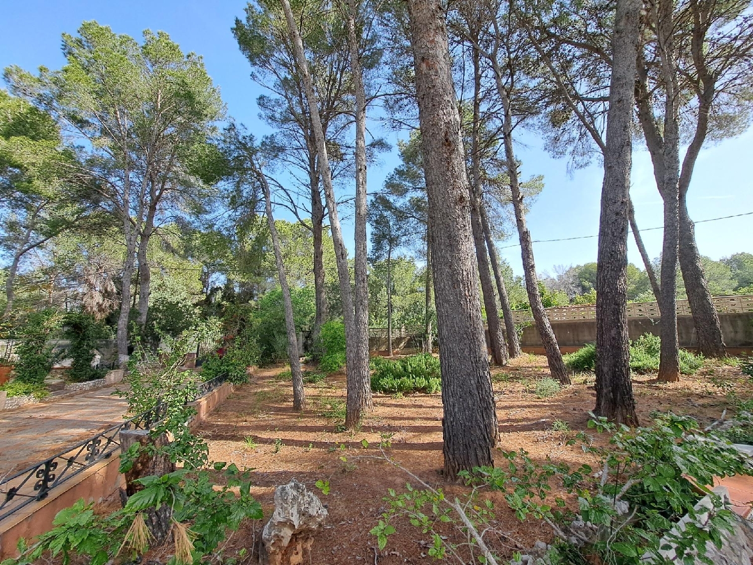  kaufen Villa Alzira Ribera Alta 4