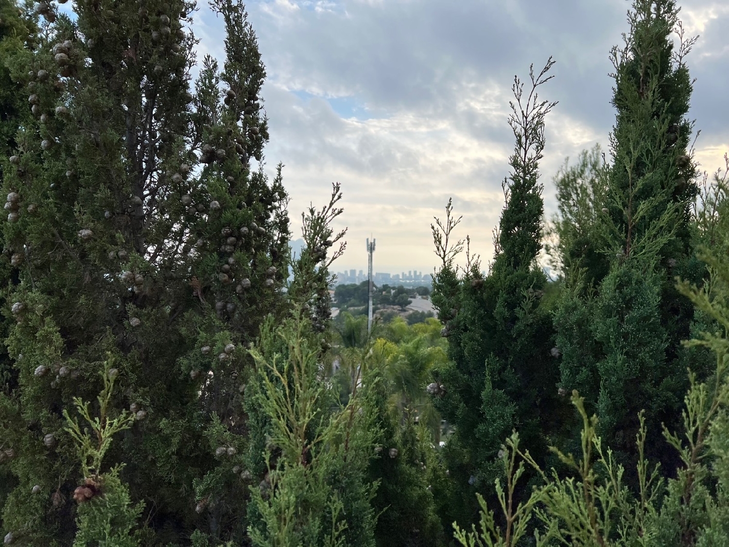  for sale villa Benissa Marina Alta 4