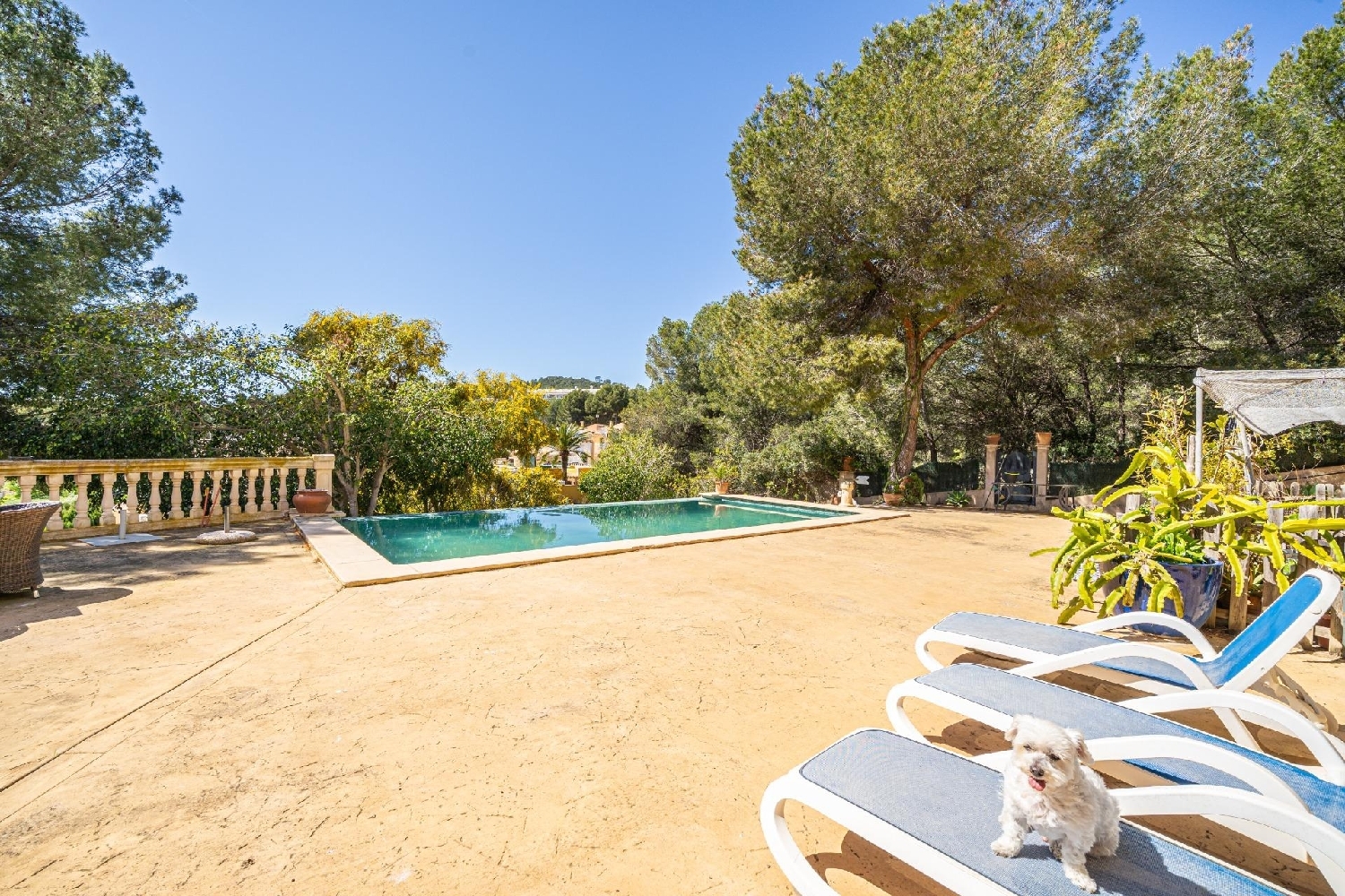  for sale villa Calvià Ponent 8