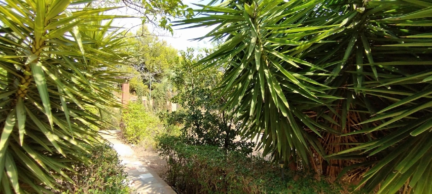  for sale villa Crevillent Baix Vinalopó 6