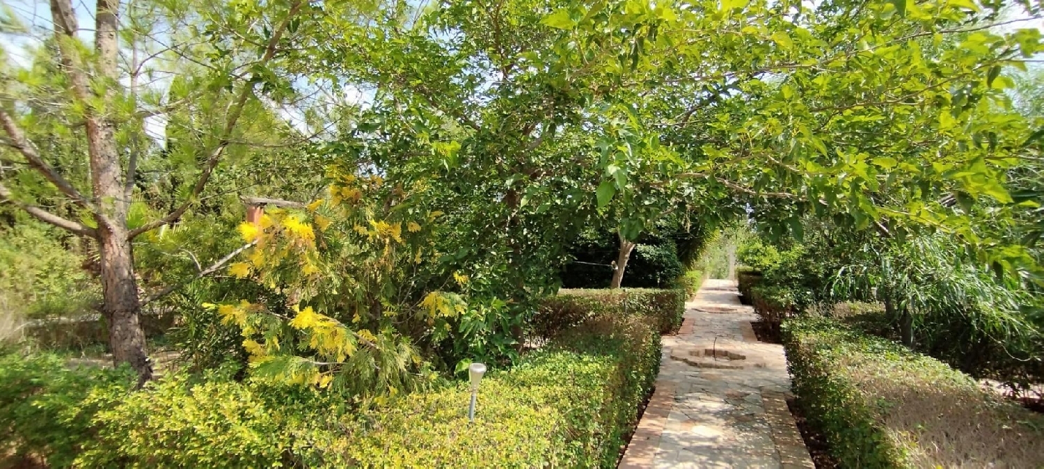  for sale villa Crevillent Baix Vinalopó 8