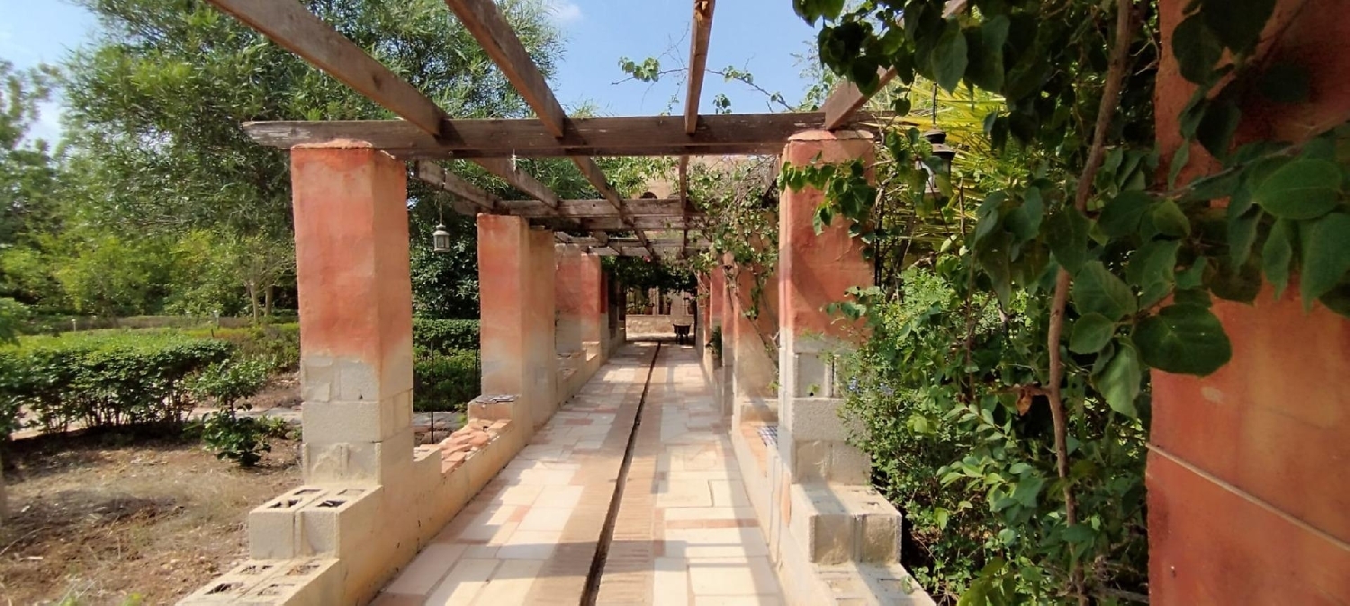  for sale villa Crevillent Baix Vinalopó 5