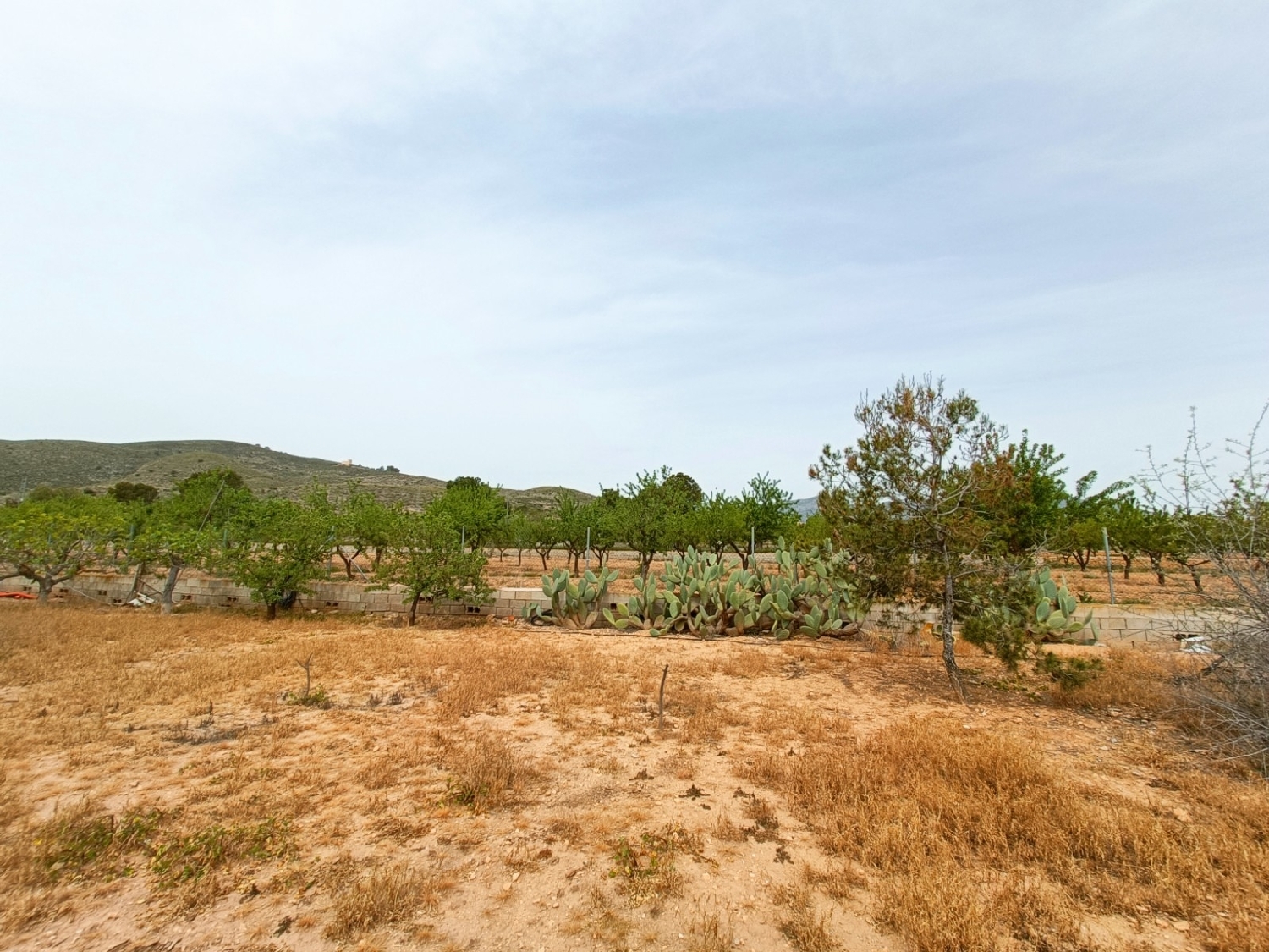  till salu villa Hondón De Los Frailes Vinalopó Mitjà 34