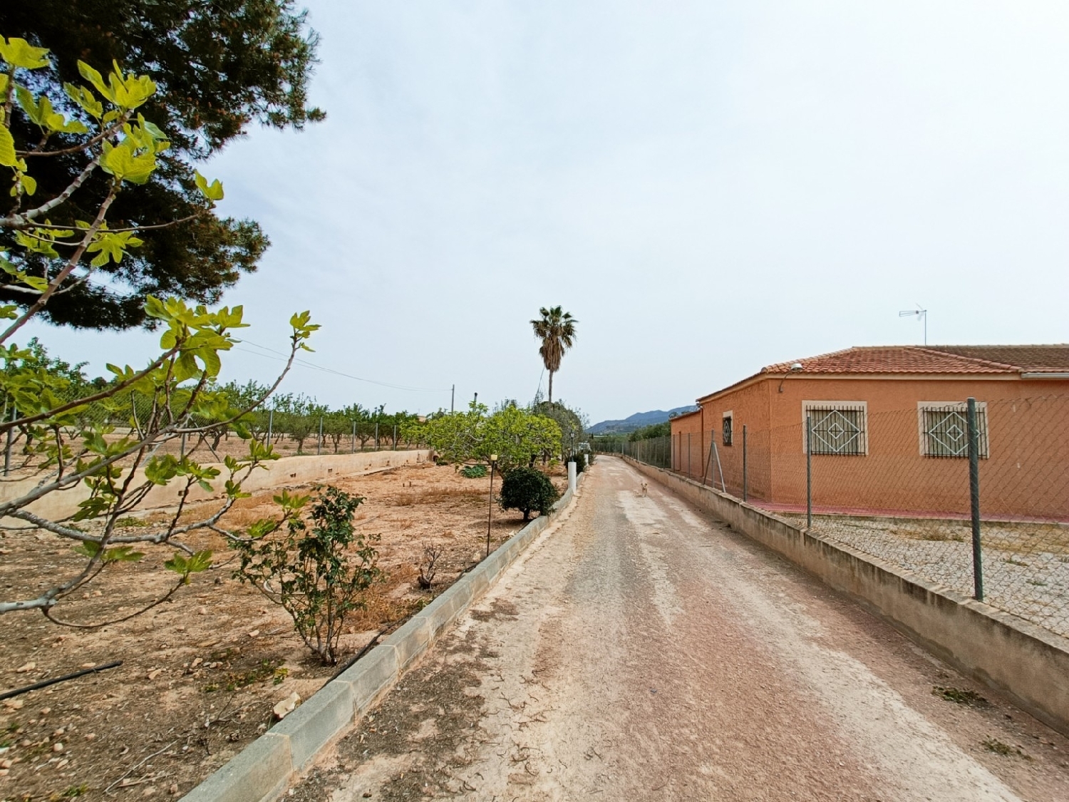  till salu villa Hondón De Los Frailes Vinalopó Mitjà 8