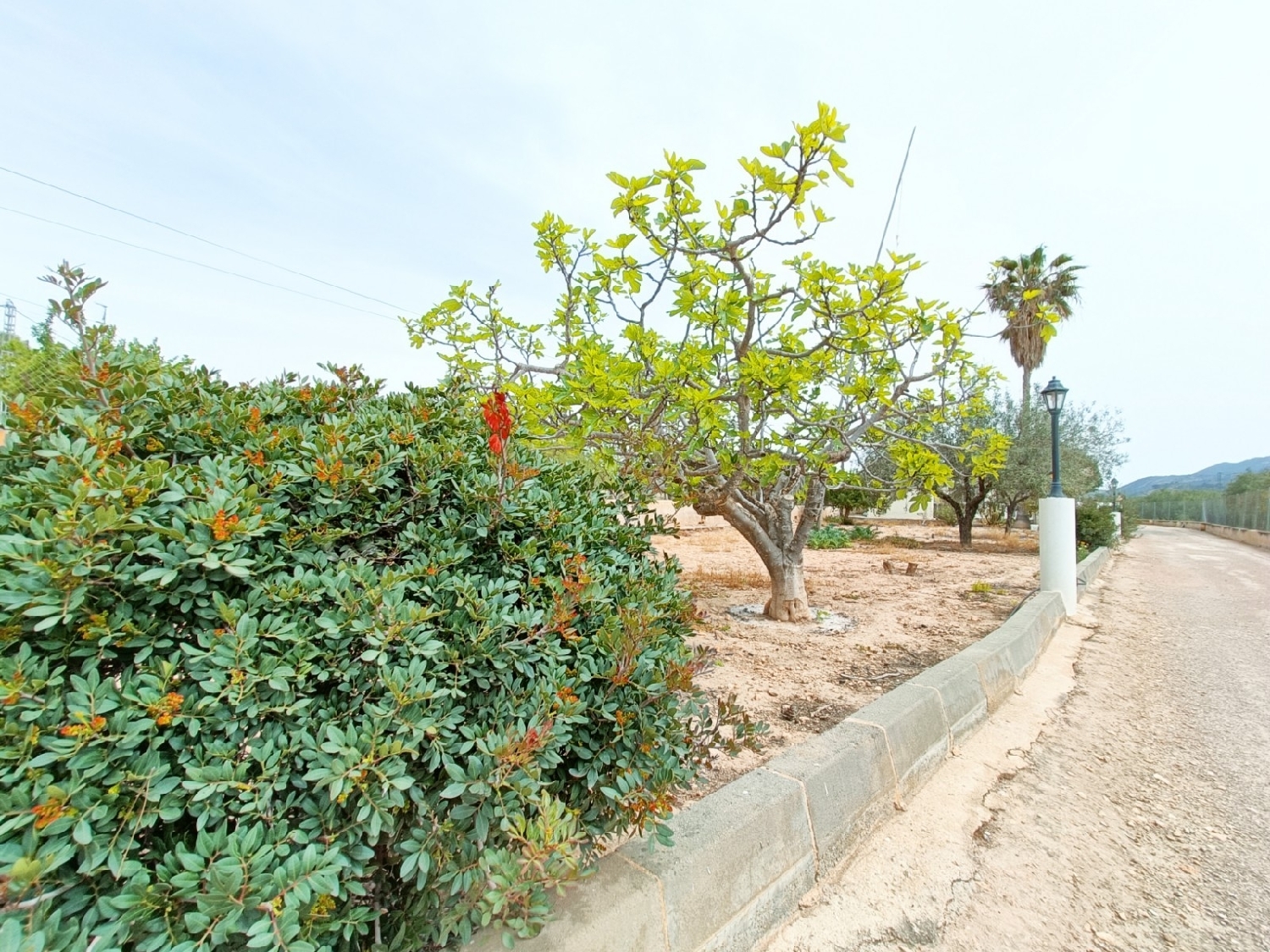  till salu villa Hondón De Los Frailes Vinalopó Mitjà 6