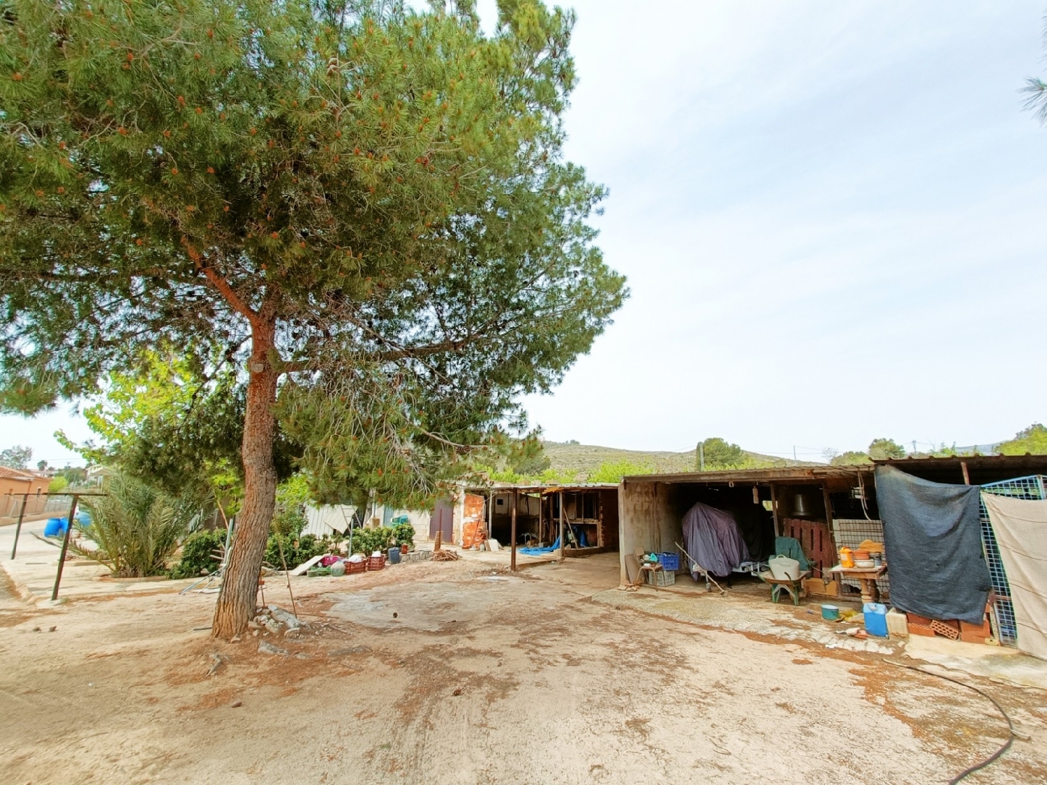  till salu villa Hondón De Los Frailes Vinalopó Mitjà 33