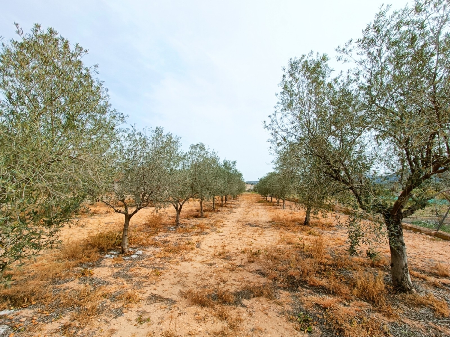  till salu villa Hondón De Los Frailes Vinalopó Mitjà 35