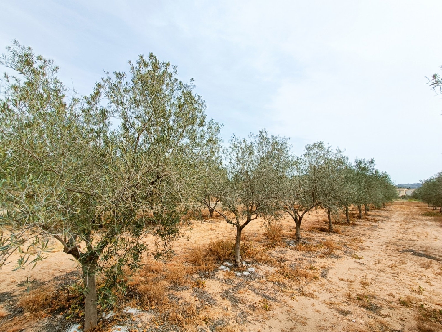  till salu villa Hondón De Los Frailes Vinalopó Mitjà 36