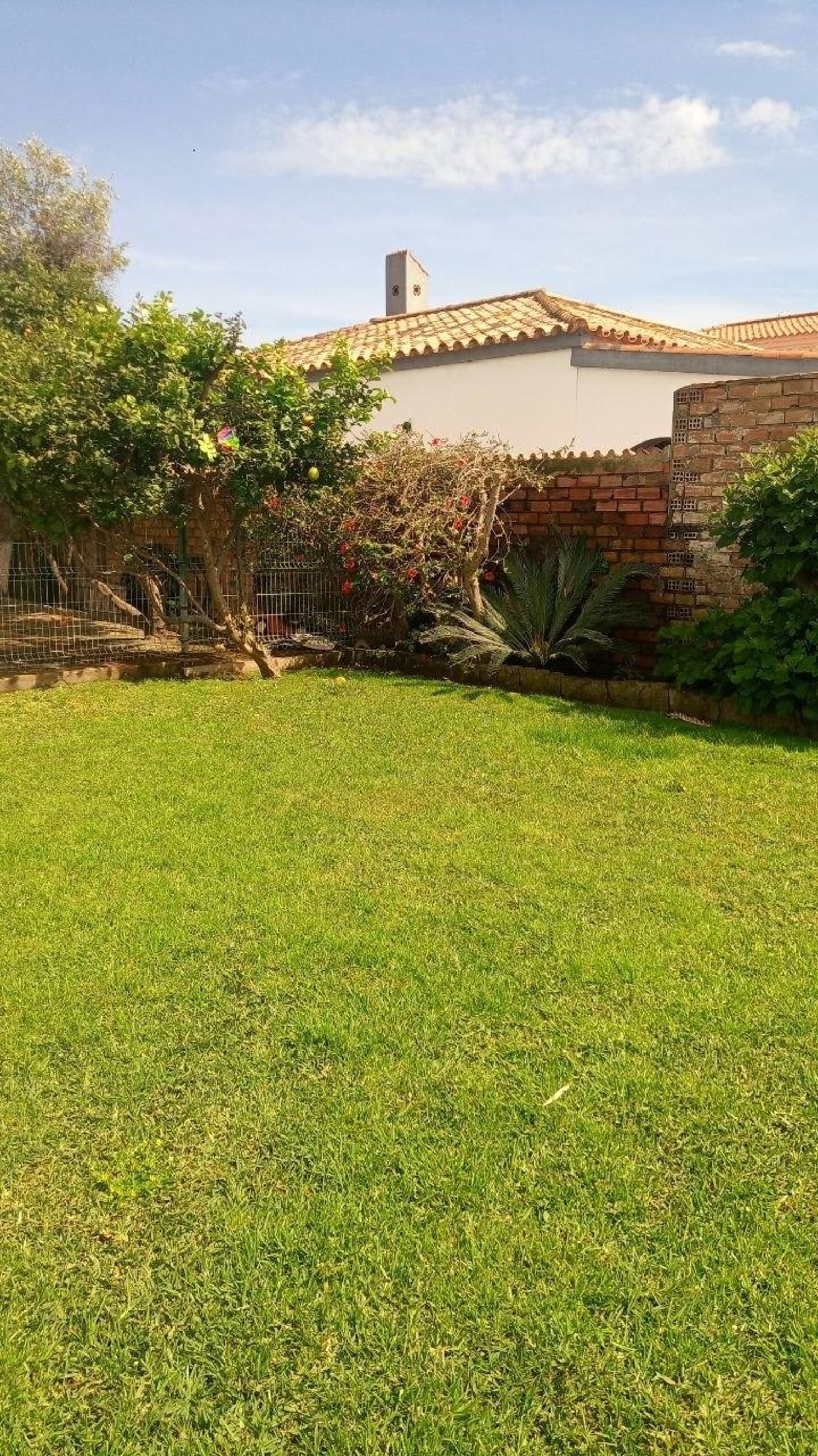 kaufen Villa La Linea De La Concepcion Campo De Gibraltar 3