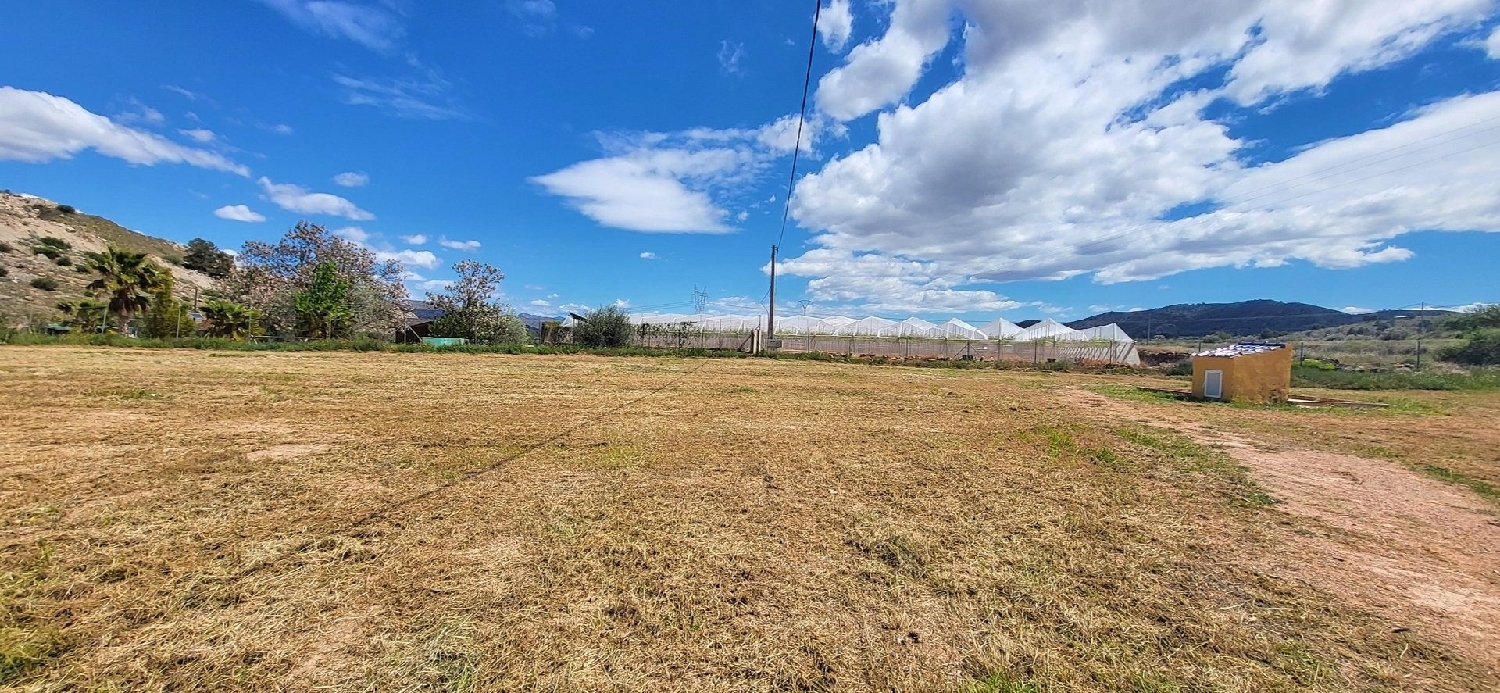  kaufen Villa La Romana Vinalopó Mitjà 17
