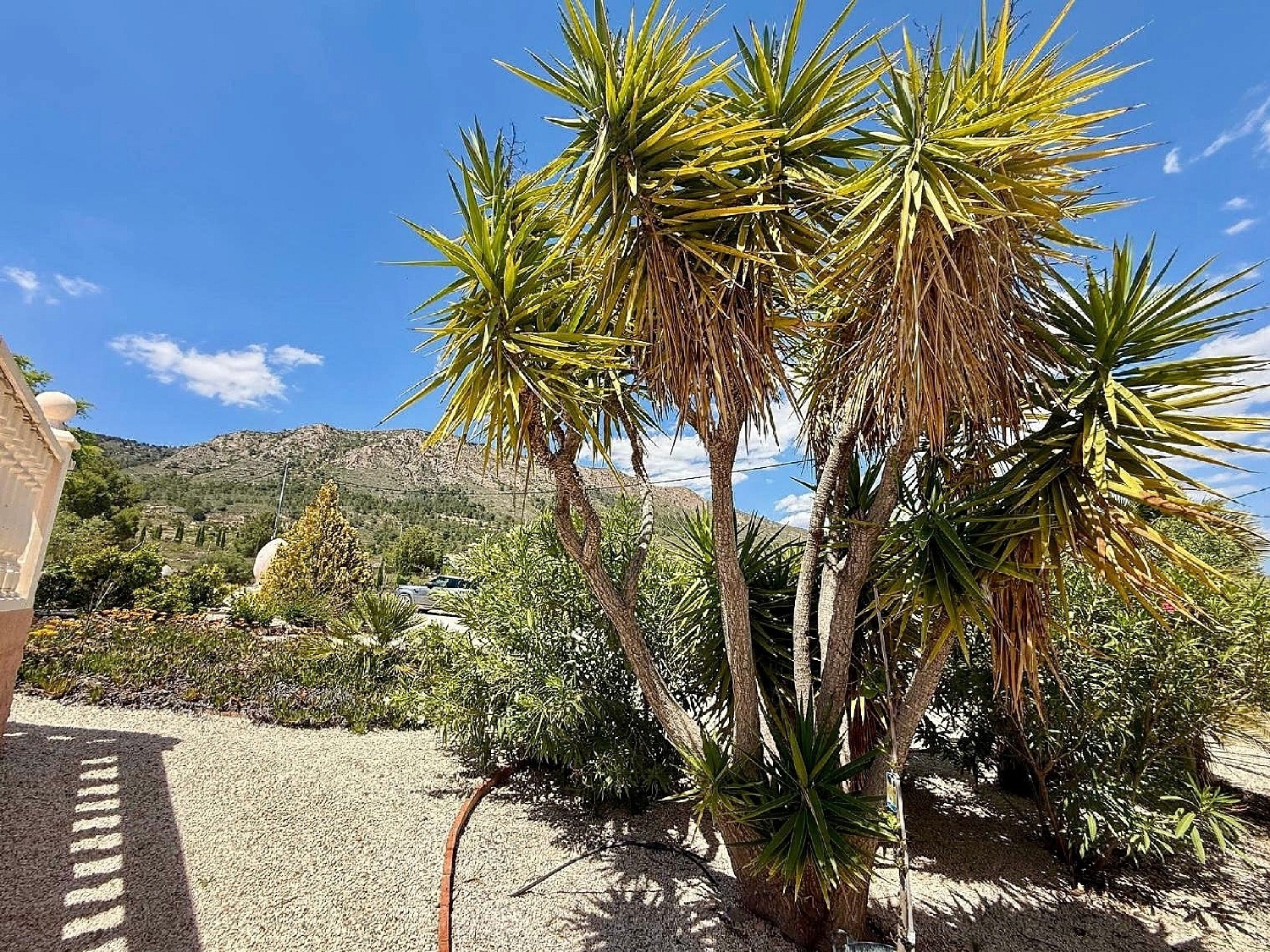 à vendre villa La Romana Vinalopó Mitjà 9