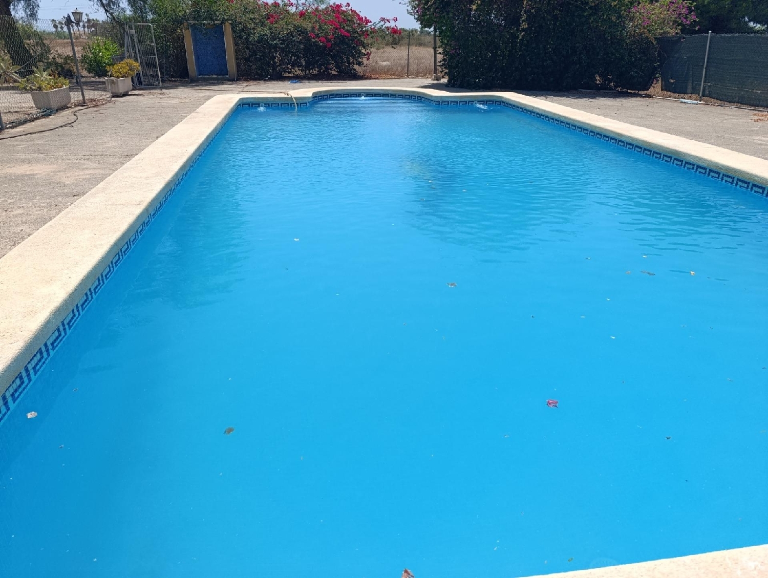  kaufen Villa Matola Baix Vinalopó 2