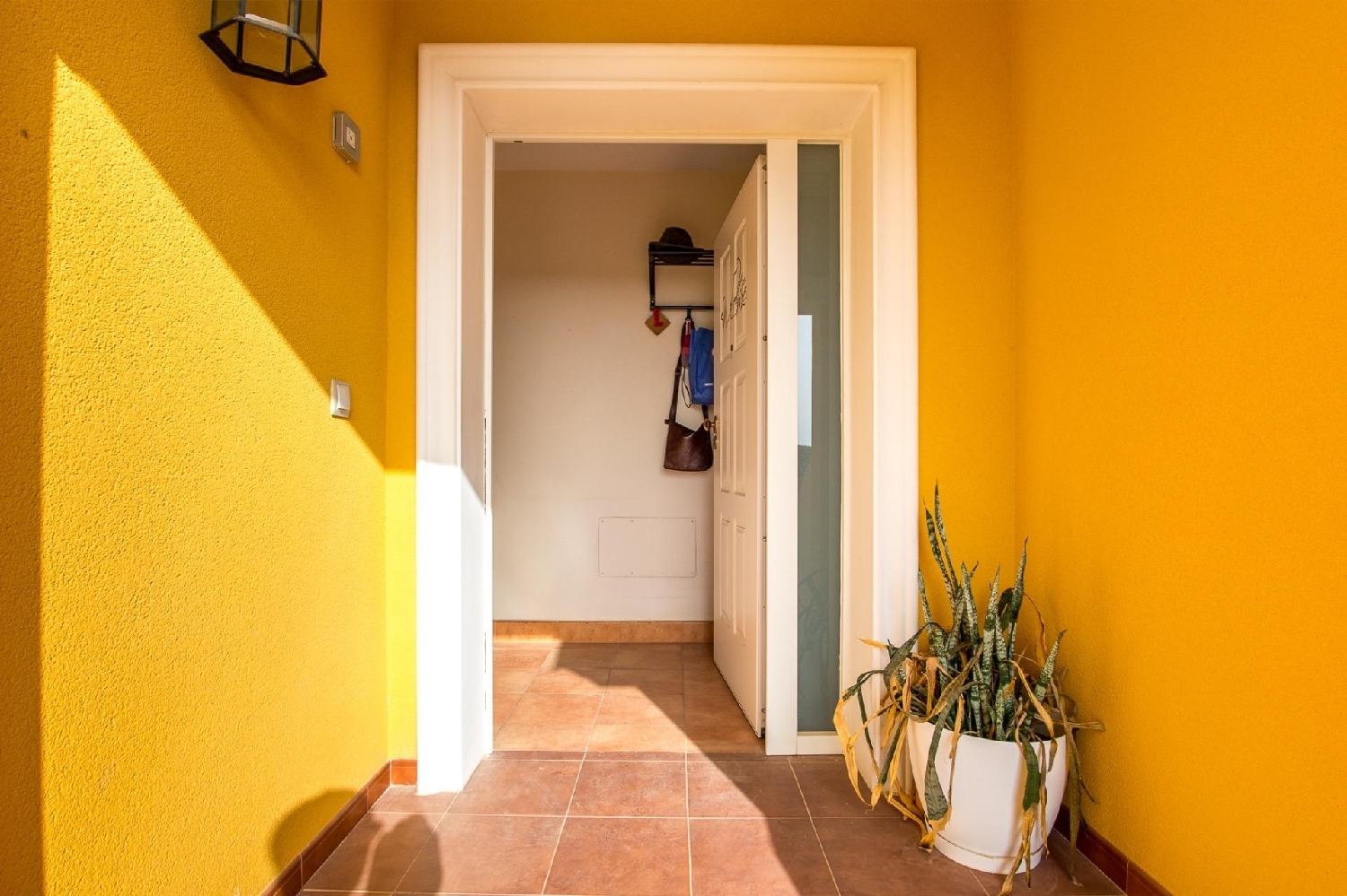  en venta chalet Molina De Segura Vega Media Del Segura 7