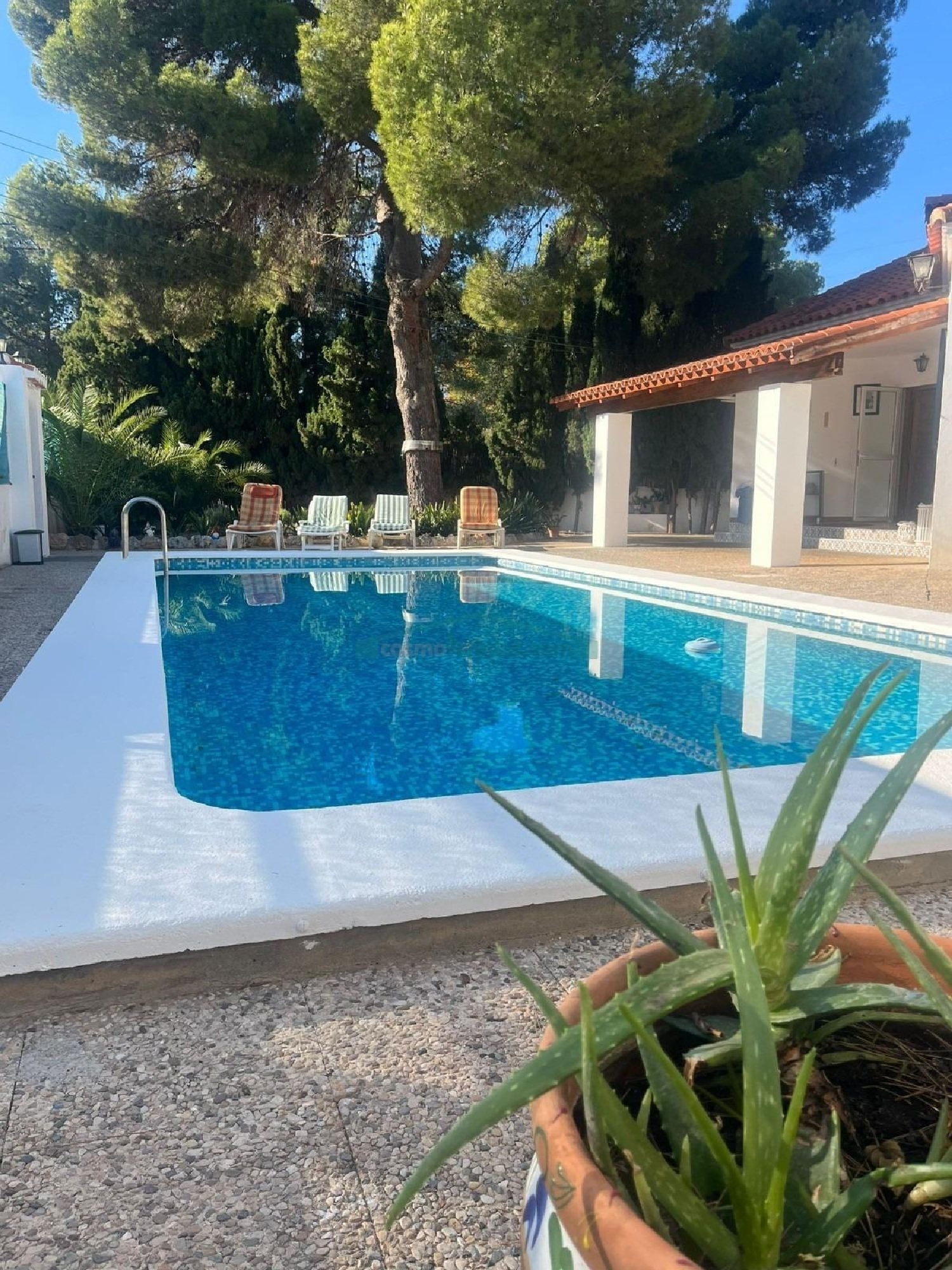 te koop villa Paterna Del Madera Sierra Del Segura 4