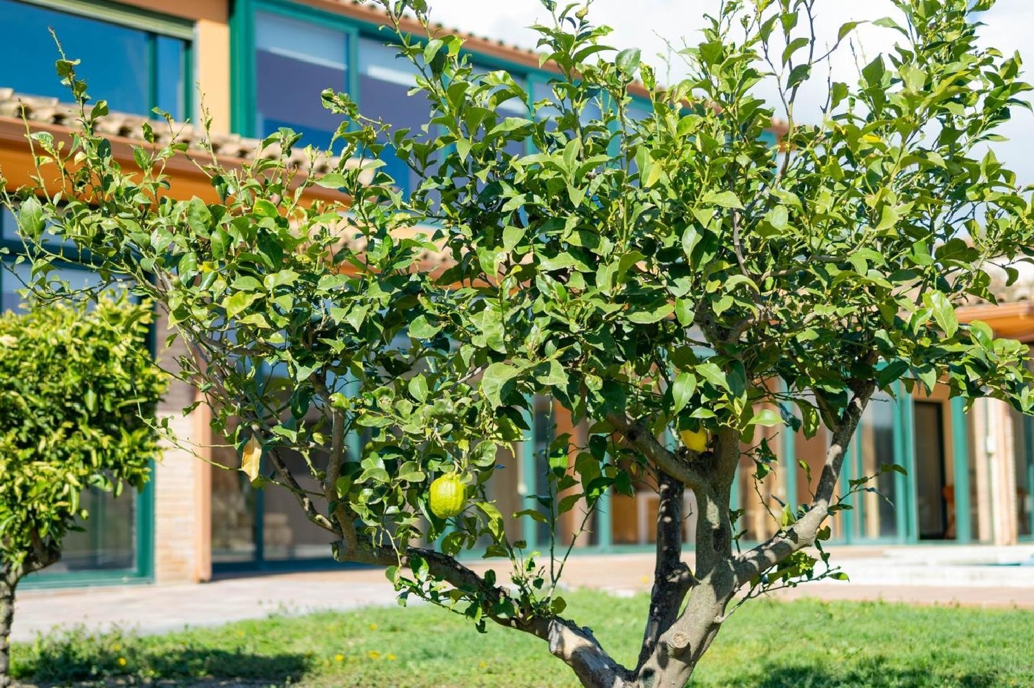 for sale villa Peralada Alt Empordà 6