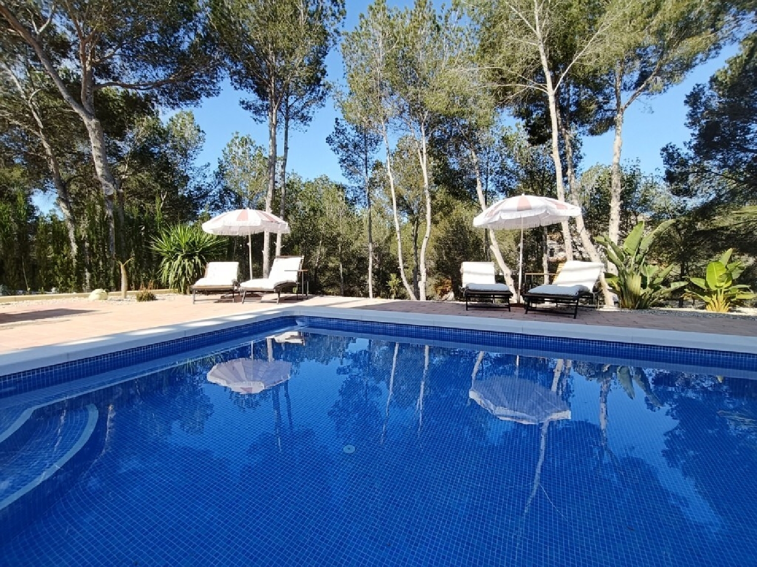  for sale villa Pilar De La Horadada Baix Segura 7