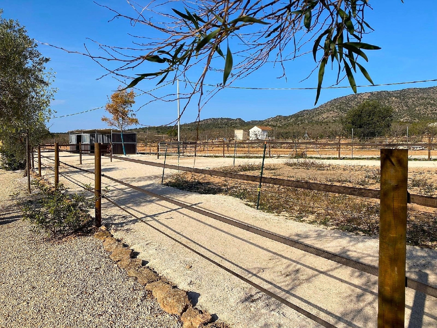 te koop villa Pinoso Vinalopó Mitjà 5