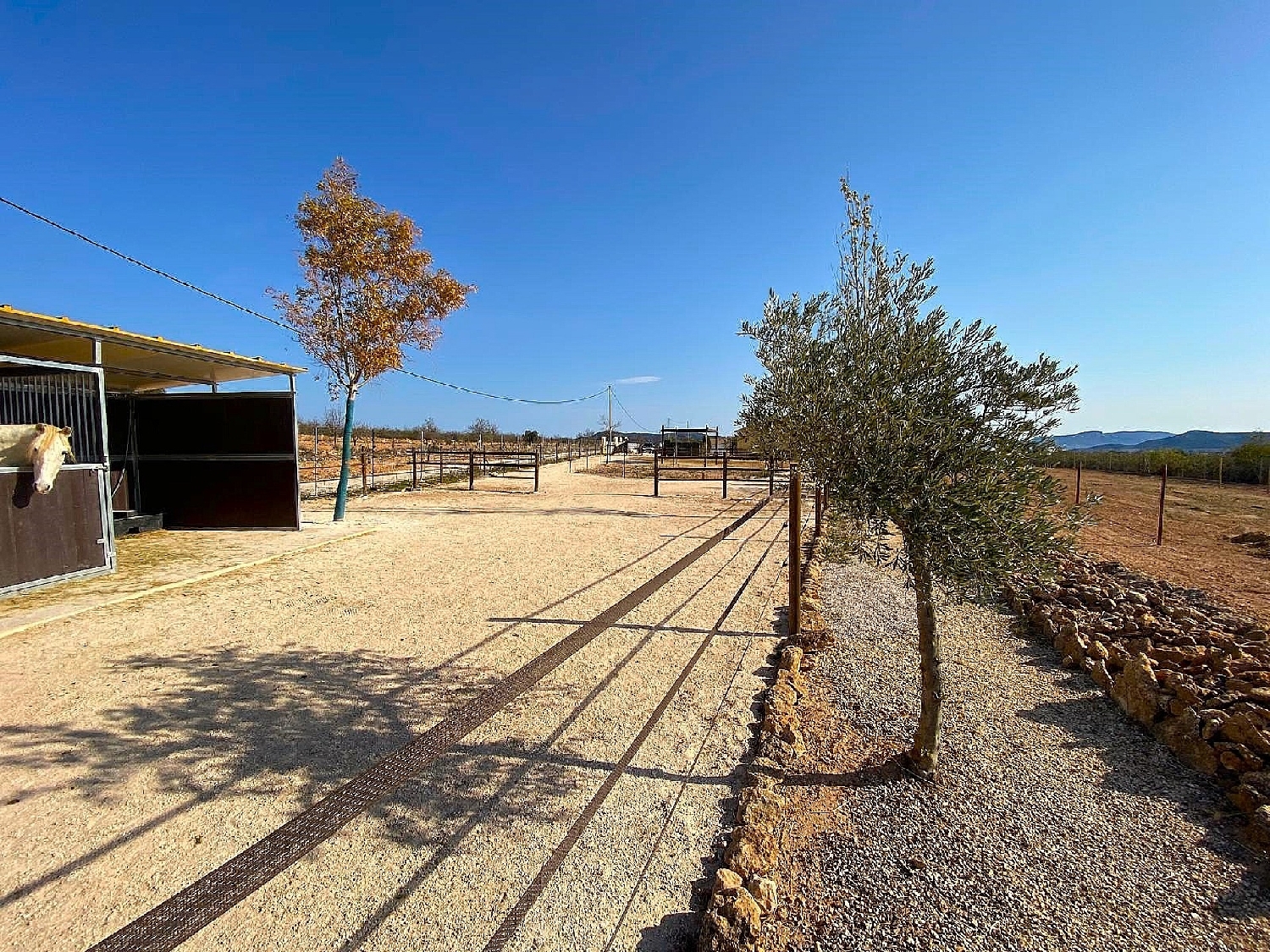 te koop villa Pinoso Vinalopó Mitjà 9