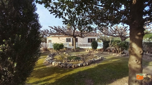Roquetes Baix Ebre Villa Bild 6384731
