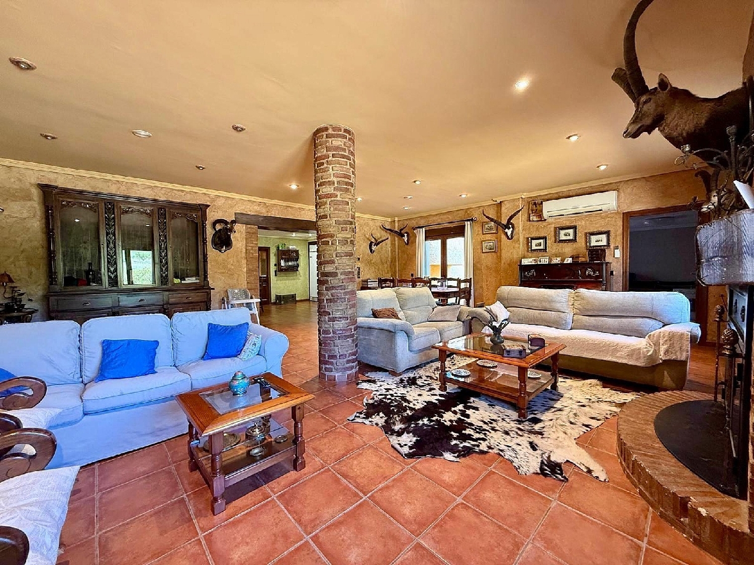 till salu villa Salinas Alt Vinalopó 17