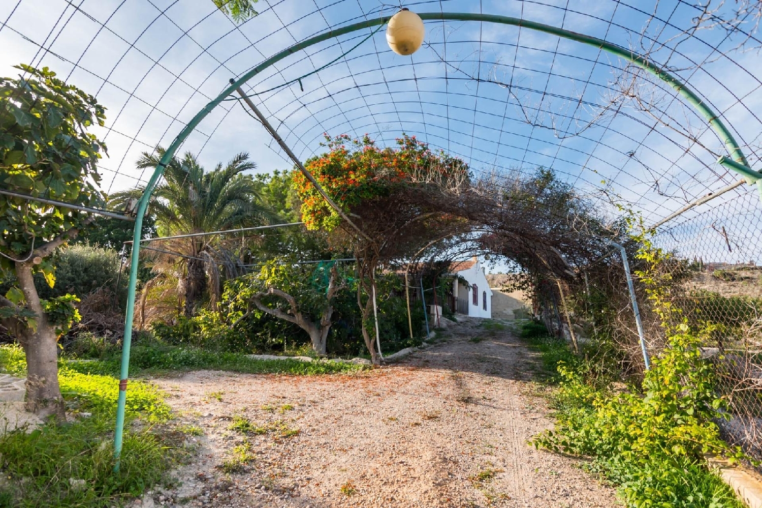  for sale villa Sangonera La Seca Huerta De Murcia 5
