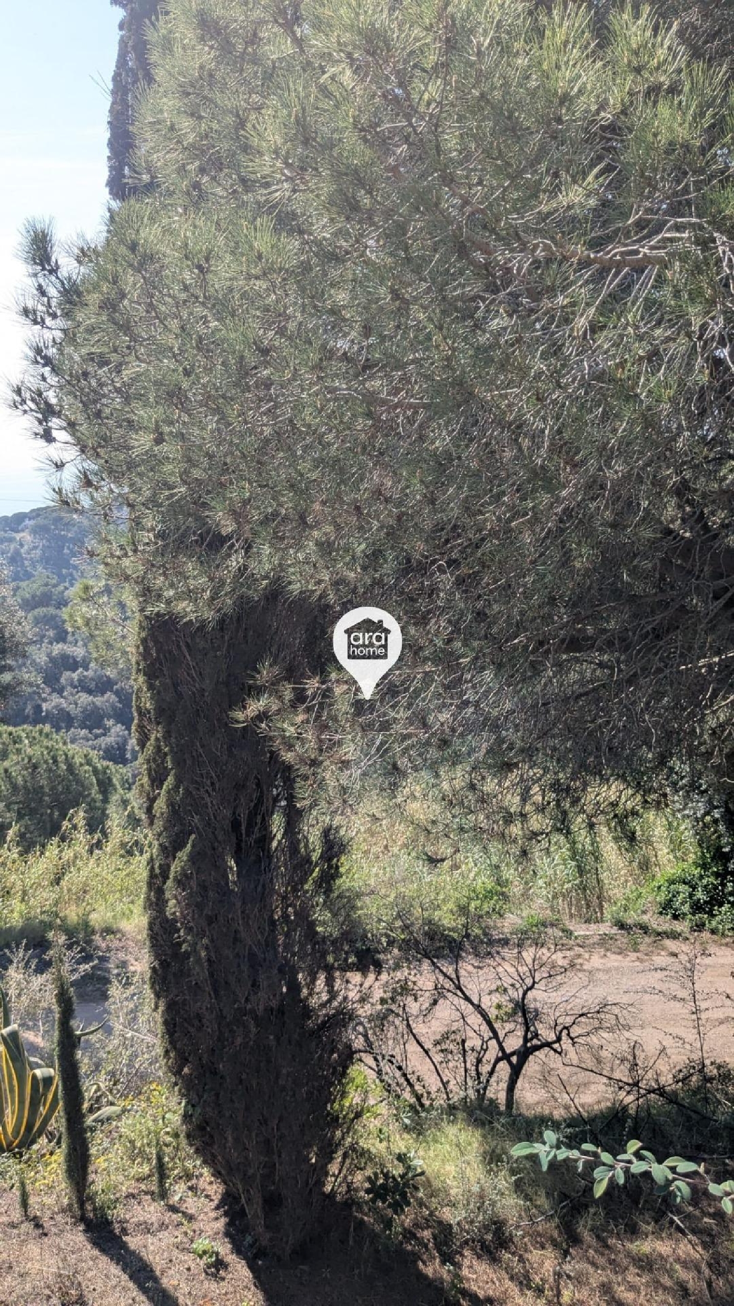  te koop villa Sant Andreu De Llavaneres Maresme 5