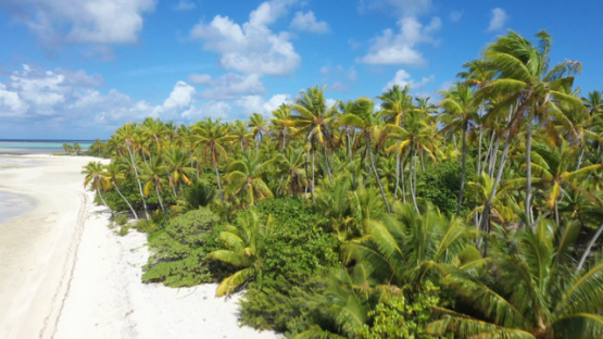 Hikueru, Aerial view of atoll, Tuamotu, Barrier reef, coconut forest, Lagoon, UHD