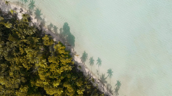 Aerial drone view of the atoll Tetiaroa, above the lagoon and islets, 4K UHD