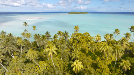 Aerial drone view of the atoll Tetiaroa, lagoon and islets, 4K UHD