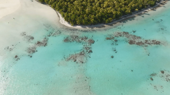 Aerial drone view of the atoll Tetiaroa, above lagoon and islets, 4K UHD