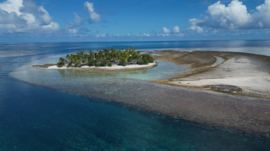 Tahanea, Aerial drone view of the atoll , coconut trees grove near the reef, 4K UHD